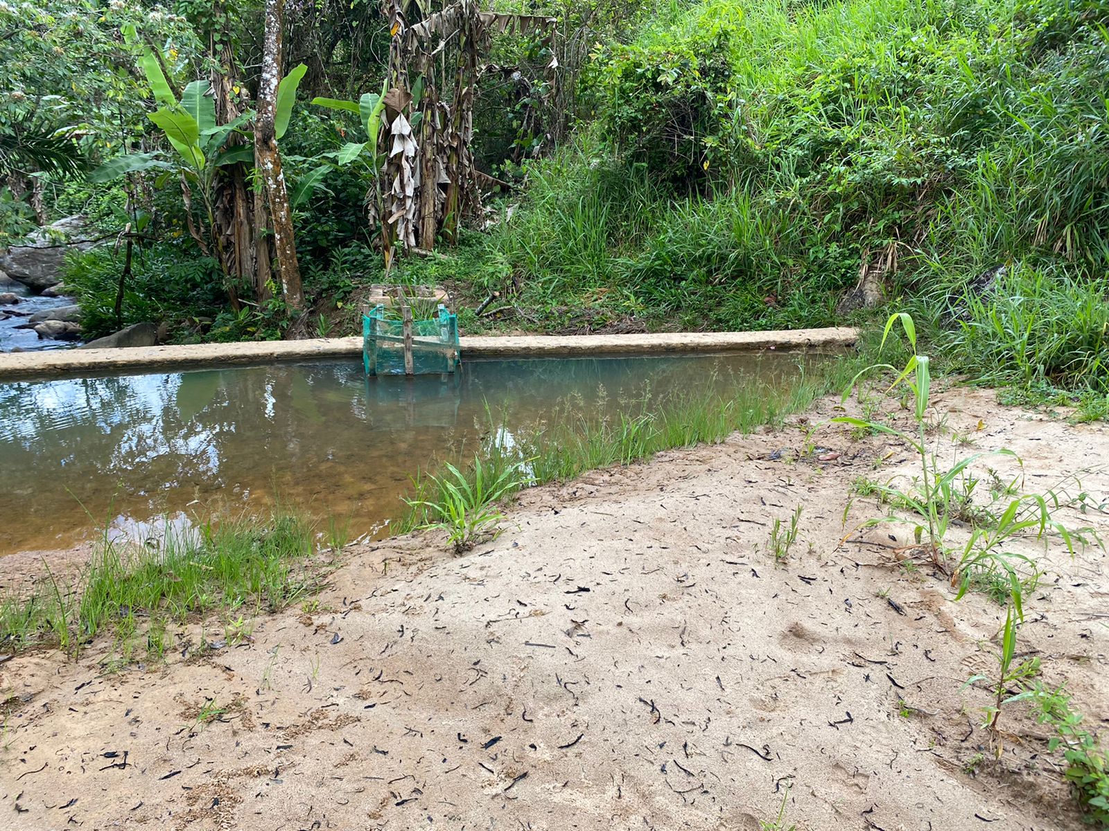 Limpeza emergencial em barragem de Colônia Leopoldina reduz capacidade de ETA